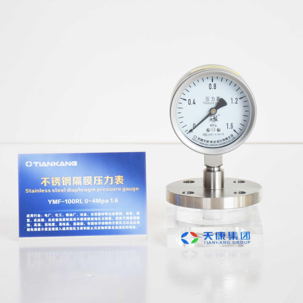 不锈钢隔膜压力表