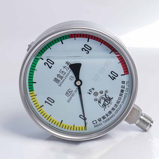 不锈钢膜盒压力表