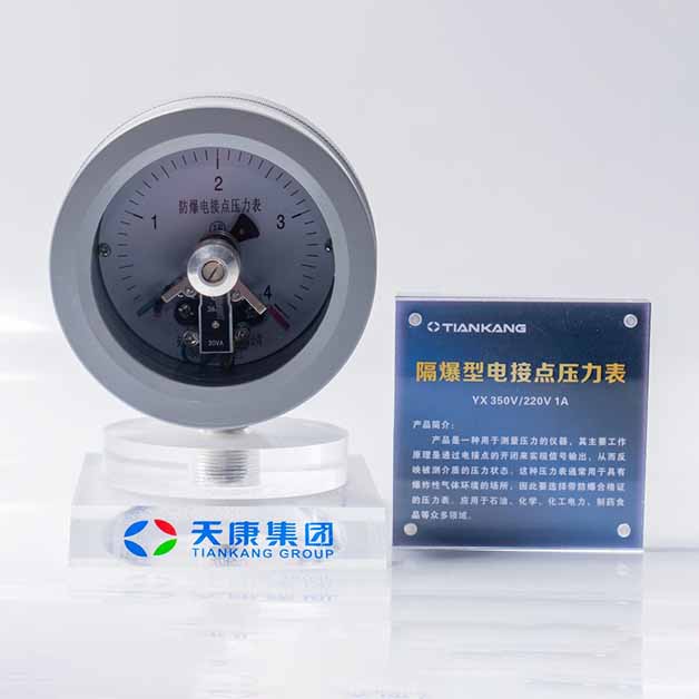 防爆电接点压力表
